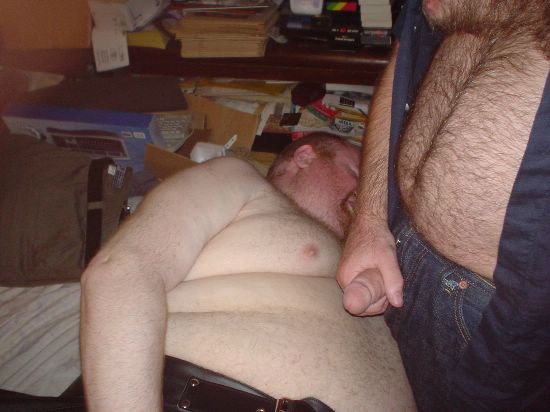 Featured bear