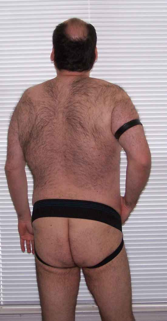 Featured bear